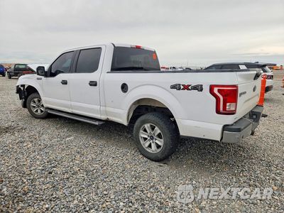 Drugie zdjęcie samochodu z przodu: 2016 FORD F150 SUPERCREW VIN:1FTFW1EF4GKF86583 - miniatura