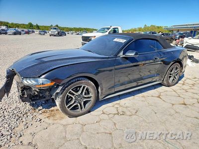2019 FORD MUSTANG 1FATP8UH5K5170129 - główne zdjęcie licytacji z USA - miniatura