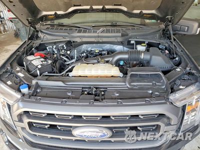 Zdjęcie 11 z 12 samochodu: 2023 FORD F150 SUPER CAB VIN:1FTEX1EP2PFA77537 - miniatura