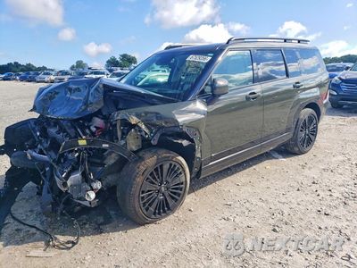 2025 HYUNDAI SANTA FE CALLIGRAPHY 5NMP5DG18SH037709 - główne zdjęcie licytacji z USA - miniatura