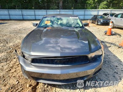 Piąte zdjęcie samochodu w środku: 2010 FORD MUSTANG VIN:1ZVBP8AN0A5170051 - miniatura