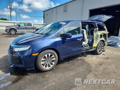 2024 HONDA ODYSSEY EXL 5FNRL6H61RB067604 - główne zdjęcie licytacji z USA - miniatura