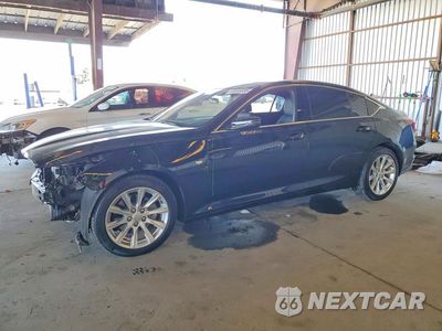 2024 CADILLAC CT5 LUXURY 1G6DW5RK6R0127501 - główne zdjęcie licytacji z USA - miniatura