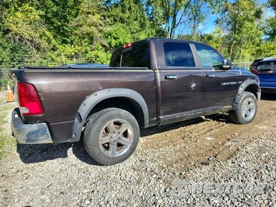 Trzecie zdjęcie samochodu z tyłu: 2011 DODGE RAM 1500 VIN:1D7RV1CTXBS546337 - miniatura