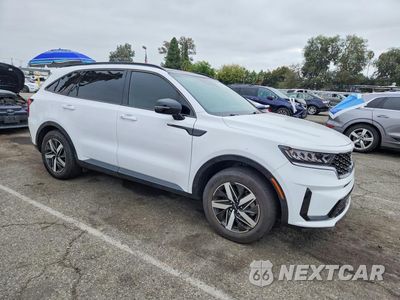 Czwarte zdjęcie samochodu z boku: 2023 KIA SORENTO S VIN:5XYRL4LC9PG242009 - miniatura