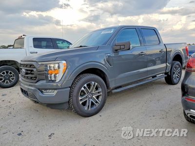 2021 FORD F150 SUPERCREW 1FTEW1EPXMKD14085 - główne zdjęcie licytacji z USA - miniatura