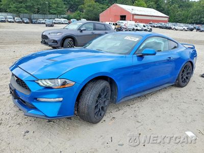 2019 FORD MUSTANG 1FA6P8TH4K5194162 - główne zdjęcie licytacji z USA - miniatura