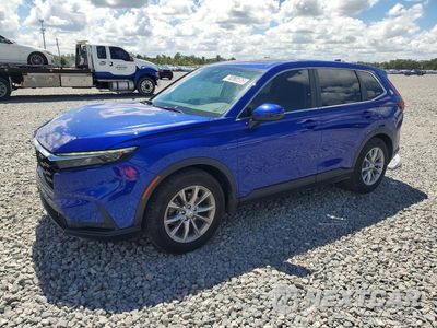 2024 HONDA CR-V EXL 2HKRS3H71RH323817 - główne zdjęcie licytacji z USA - miniatura