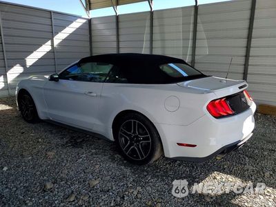 Drugie zdjęcie samochodu z przodu: 2020 FORD MUSTANG VIN:1FATP8UH6L5135004 - miniatura