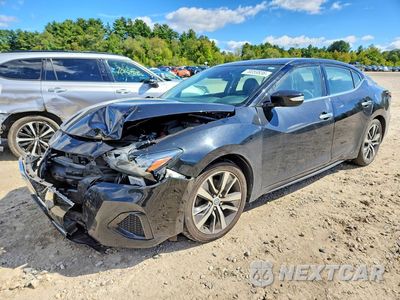 2020 NISSAN MAXIMA SV 1N4AA6CV0LC381224 - główne zdjęcie licytacji z USA - miniatura