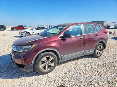 2019 HONDA CR-V LX 2HKRW5H37KH420118 - główne zdjęcie licytacji z USA - miniatura