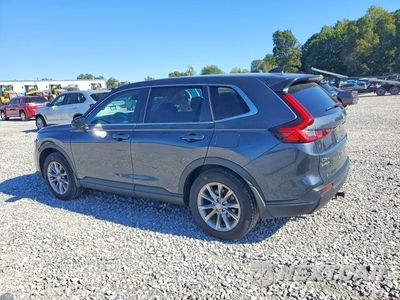 Drugie zdjęcie samochodu z przodu: 2024 HONDA CR-V EXL VIN:2HKRS4H72RH443180 - miniatura