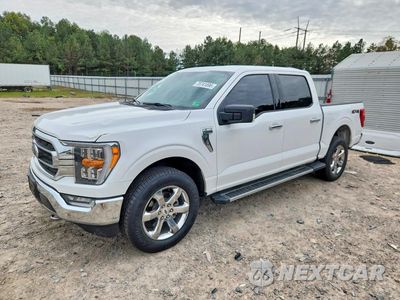 2021 FORD F150 SUPERCREW 1FTFW1E80MFB91984 - główne zdjęcie licytacji z USA - miniatura