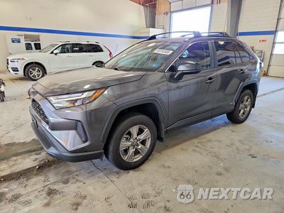 2025 TOYOTA RAV4 LE 4T3LWRFV6SU203511 - główne zdjęcie licytacji z USA - miniatura