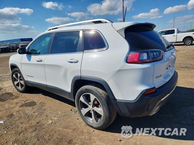 Drugie zdjęcie samochodu z przodu: 2019 JEEP CHEROKEE LIMITED VIN:1C4PJMDN4KD209066 - miniatura