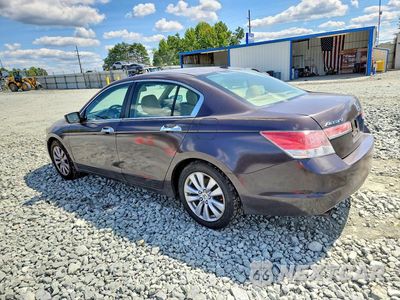 Drugie zdjęcie samochodu z przodu: 2011 HONDA ACCORD EXL VIN:1HGCP3F88BA016467 - miniatura