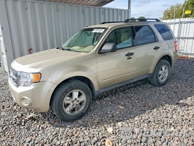 2012 FORD ESCAPE XLT 1FMCU0DG8CKA23443 - główne zdjęcie licytacji z USA - miniatura