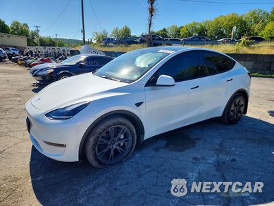 2024 TESLA MODEL Y 7SAYGDEE1RF202731 - główne zdjęcie licytacji z USA - miniatura