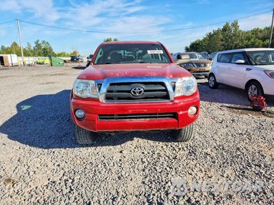 Piąte zdjęcie samochodu w środku: 2009 TOYOTA TACOMA V6 VIN:5TELU42N09Z596208 - miniatura