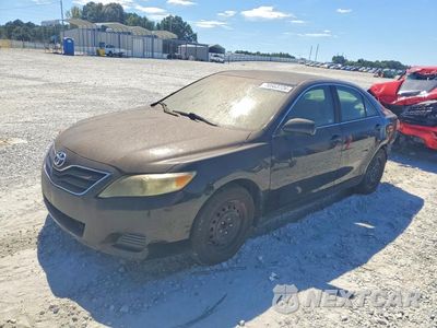 2010 TOYOTA CAMRY LE 4T1BF3EKXAU531537 - główne zdjęcie licytacji z USA - miniatura