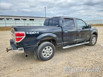 Trzecie zdjęcie samochodu z tyłu: 2013 FORD F150 SUPERCREW VIN:1FTFW1ET6DKD65214 - miniatura