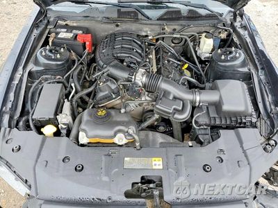 Zdjęcie 11 z 12 samochodu: 2014 FORD MUSTANG VIN:1ZVBP8AM1E5278840 - miniatura