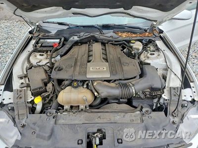 Zdjęcie 11 z 12 samochodu: 2019 FORD MUSTANG GT VIN:1FA6P8CF5K5125091 - miniatura