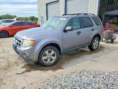 2008 FORD ESCAPE XLT 1FMCU03148KB36357 - główne zdjęcie licytacji z USA - miniatura