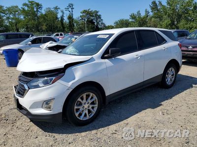 2019 CHEVROLET EQUINOX LS 2GNAXSEV7K6111954 - główne zdjęcie licytacji z USA - miniatura