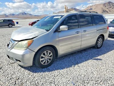 2008 HONDA ODYSSEY EXL 5FNRL38798B051365 - główne zdjęcie licytacji z USA - miniatura