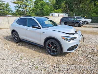 Czwarte zdjęcie samochodu z boku: 2024 ALFA ROMEO STELVIO TI VIN:ZASPAKBN6R7D76939 - miniatura