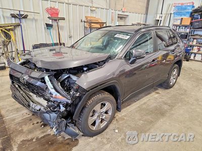 2023 TOYOTA RAV4 XLE 2T3P1RFV0PC343448 - główne zdjęcie licytacji z USA - miniatura