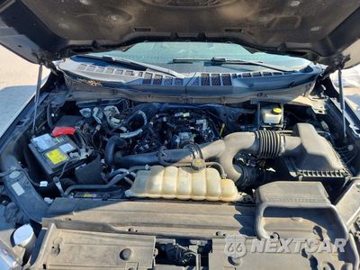 Zdjęcie 11 z 12 samochodu: 2021 FORD F150 SUPERCREW VIN:1FTEW1EP2MFA06966 - miniatura