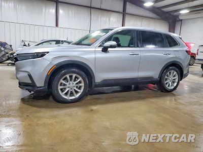 2024 HONDA CR-V EXL 5J6RS4H72RL006849 - główne zdjęcie licytacji z USA - miniatura