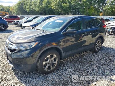2019 HONDA CR-V EX 2HKRW2H58KH609604 - główne zdjęcie licytacji z USA - miniatura