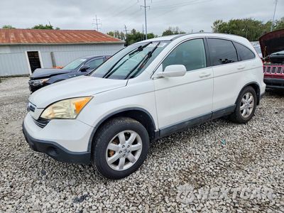 2007 HONDA CR-V EXL JHLRE48757C111978 - główne zdjęcie licytacji z USA - miniatura