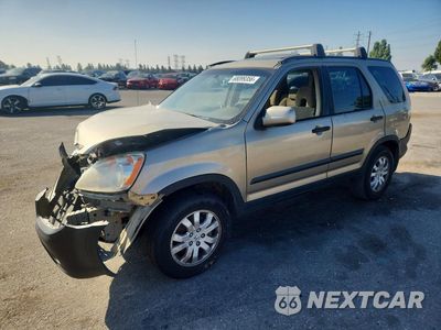 2005 HONDA CR-V EX JHLRD78825C033282 - główne zdjęcie licytacji z USA - miniatura