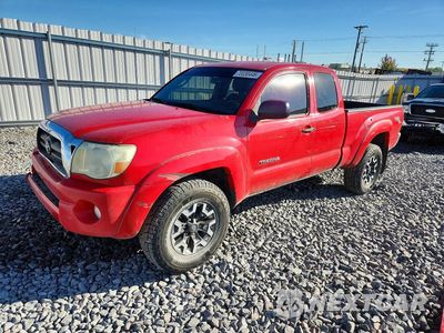 2007 TOYOTA TACOMA V6 5TEUU42N27Z321537 - główne zdjęcie licytacji z USA - miniatura