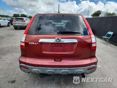 Zdjęcie 6 z 13 samochodu: 2008 HONDA CR-V EXL VIN:JHLRE38718C016409 - miniatura