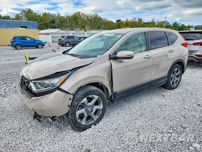 2019 HONDA CR-V EX 2HKRW1H57KH503722 - główne zdjęcie licytacji z USA - miniatura