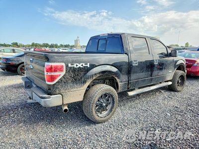 Trzecie zdjęcie samochodu z tyłu: 2011 FORD F150 VIN:1FTFW1ET3BFC49958 - miniatura