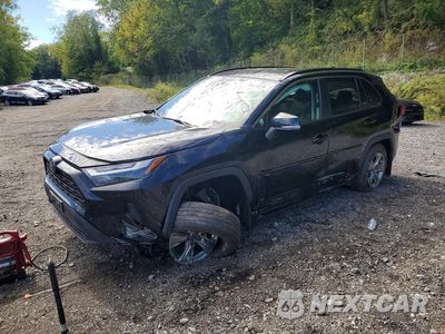 2024 TOYOTA RAV4 XLE 2T3P1RFV2RW435985 - główne zdjęcie licytacji z USA - miniatura
