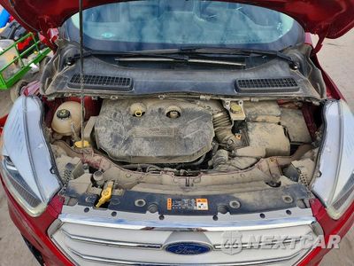 Zdjęcie 12 z 14 samochodu: 2019 FORD ESCAPE TITANIUM VIN:1FMCU9J94KUA85659 - miniatura