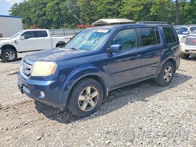 2010 HONDA PILOT EXL 5FNYF3H54AB020368 - główne zdjęcie licytacji z USA - miniatura