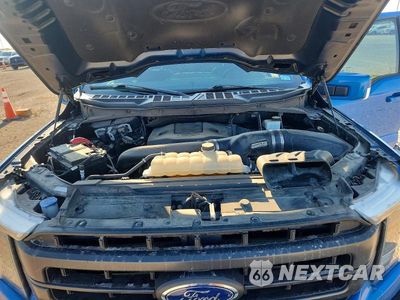 Zdjęcie 11 z 13 samochodu: 2021 FORD F150 SUPERCREW VIN:1FTFW1E85MKE88062 - miniatura