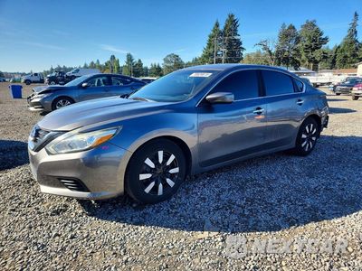 2016 NISSAN ALTIMA 2.5 S 1N4AL3APXGN347623 - główne zdjęcie licytacji z USA - miniatura