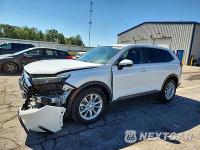 2024 HONDA CR-V EX 2HKRS4H47RH423528 - główne zdjęcie licytacji z USA - miniatura