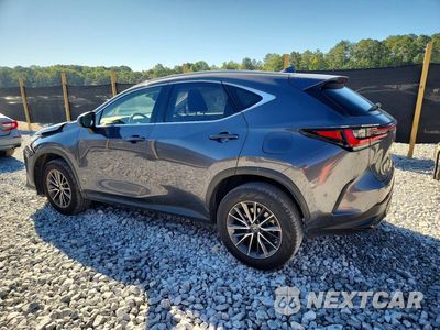 Drugie zdjęcie samochodu z przodu: 2022 LEXUS NX 250 VIN:JTJADCAZ0N2001892 - miniatura