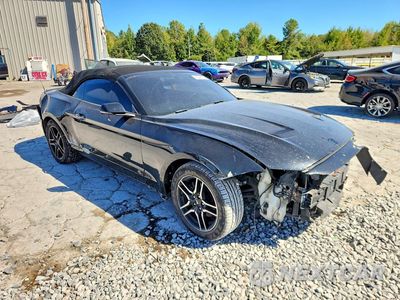 Czwarte zdjęcie samochodu z boku: 2019 FORD MUSTANG VIN:1FATP8UH5K5170129 - miniatura
