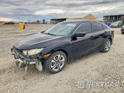 2017 HONDA CIVIC LX 19XFC2E55HE002346 - główne zdjęcie licytacji z USA - miniatura